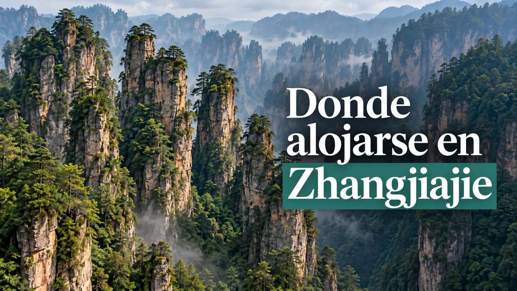 Dónde alojarse en Zhangjiajie: pilares de piedra del Parque Forestal Nacional de Zhangjiajie